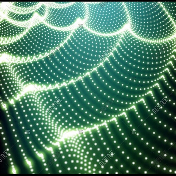 Meet your Posher, Eli - Picture 1 of 1